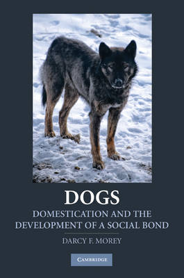 Dogs by Darcy F. Morey image