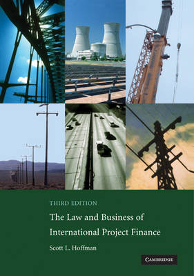 The Law and Business of International Project Finance by Scott L. Hoffman image
