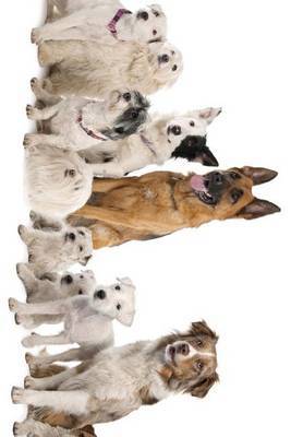 German Shepherd, Border Collie, Parson Russell Terrier, and Others by Unique Journal image