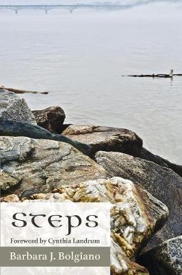 Steps by Barbara Bolgiano image