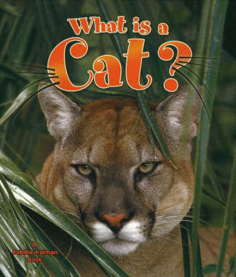 What is a Cat? by Amanda Bishop image