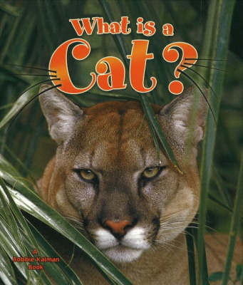 What is a Cat by Amanda Bishop