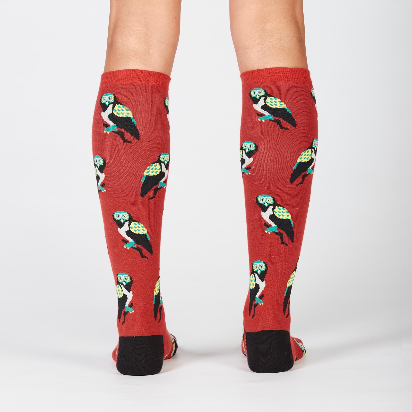 Women's - Birds Of Prey Knee High Socks image