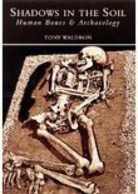 Shadows in the Soil by H.A. Waldron image