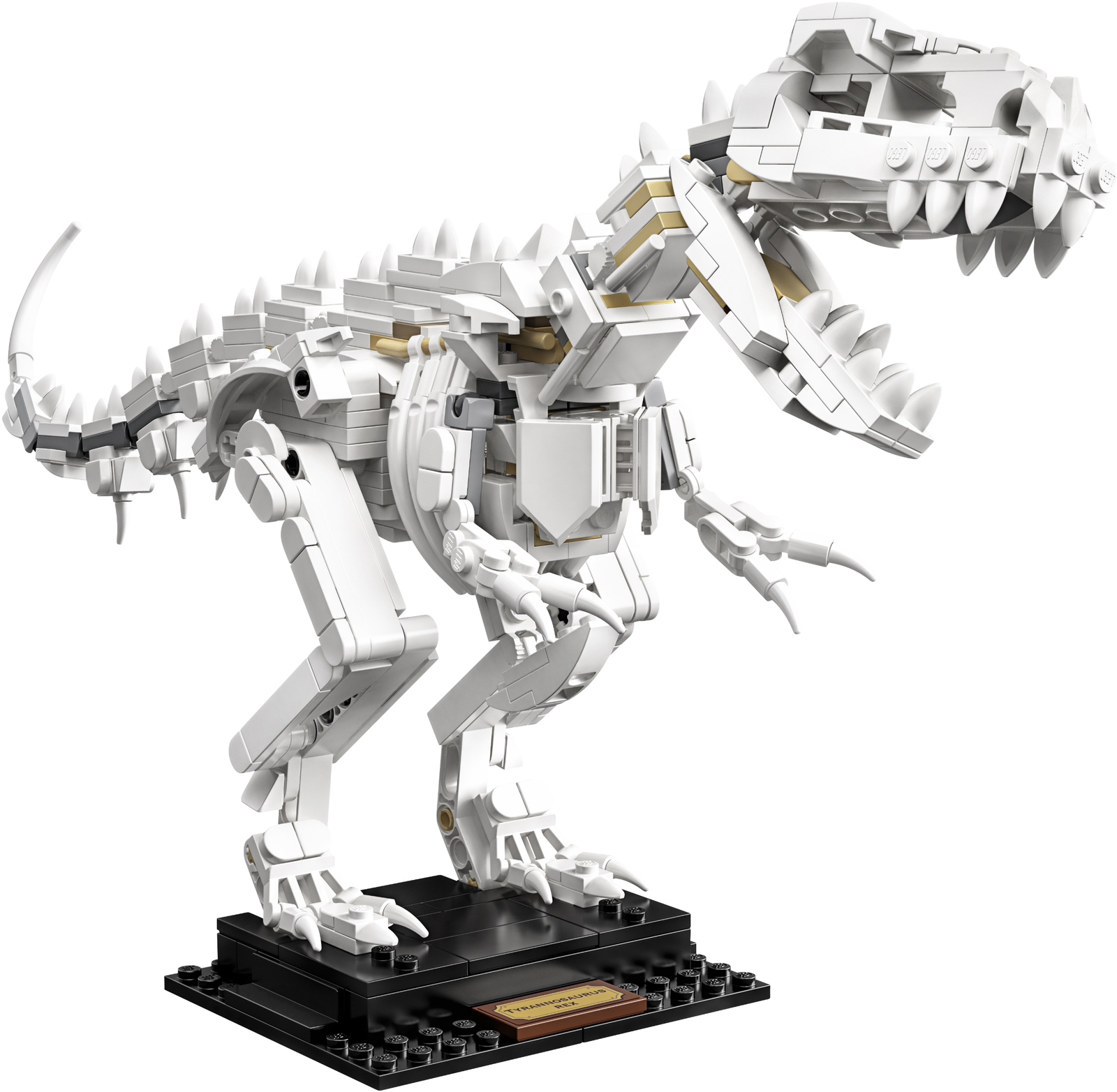 LEGO Ideas - Dinosaur Fossils image