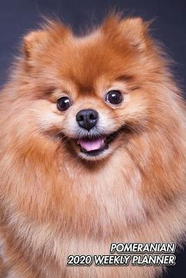 Pomeranian 2020 Weekly Planner image