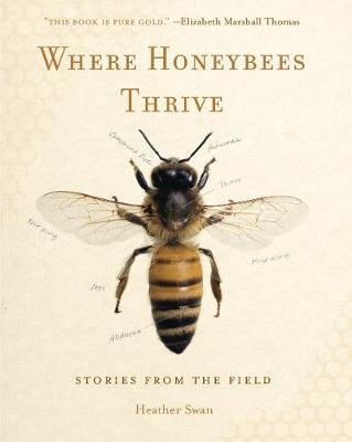 Where Honeybees Thrive by Heather Swan image