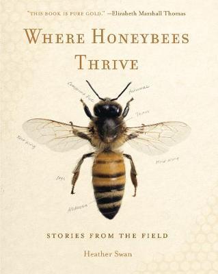 Where Honeybees Thrive image