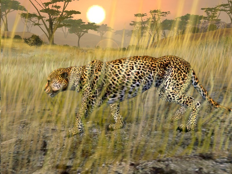 Cabela's African Safari for PlayStation 2 image