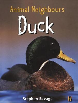 British Animals: Duck by Stephen Savage image