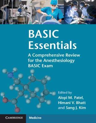 BASIC Essentials image