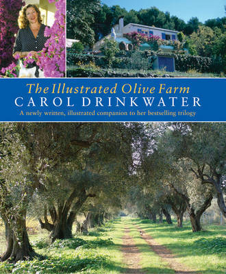 The Illustrated Olive Farm on Hardback by Carol Drinkwater