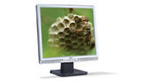Acer AL1717SMD 17" LCD 8ms Monitor Acer AL1717SMD 17" LCD 8ms Monitor