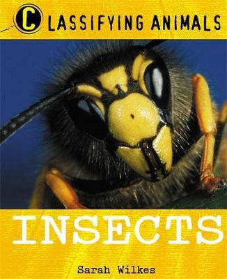Classifying Animals: Insects by Sarah Wilkes image