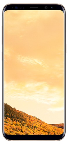 Samsung Galaxy S8+ 64GB - Maple Gold image