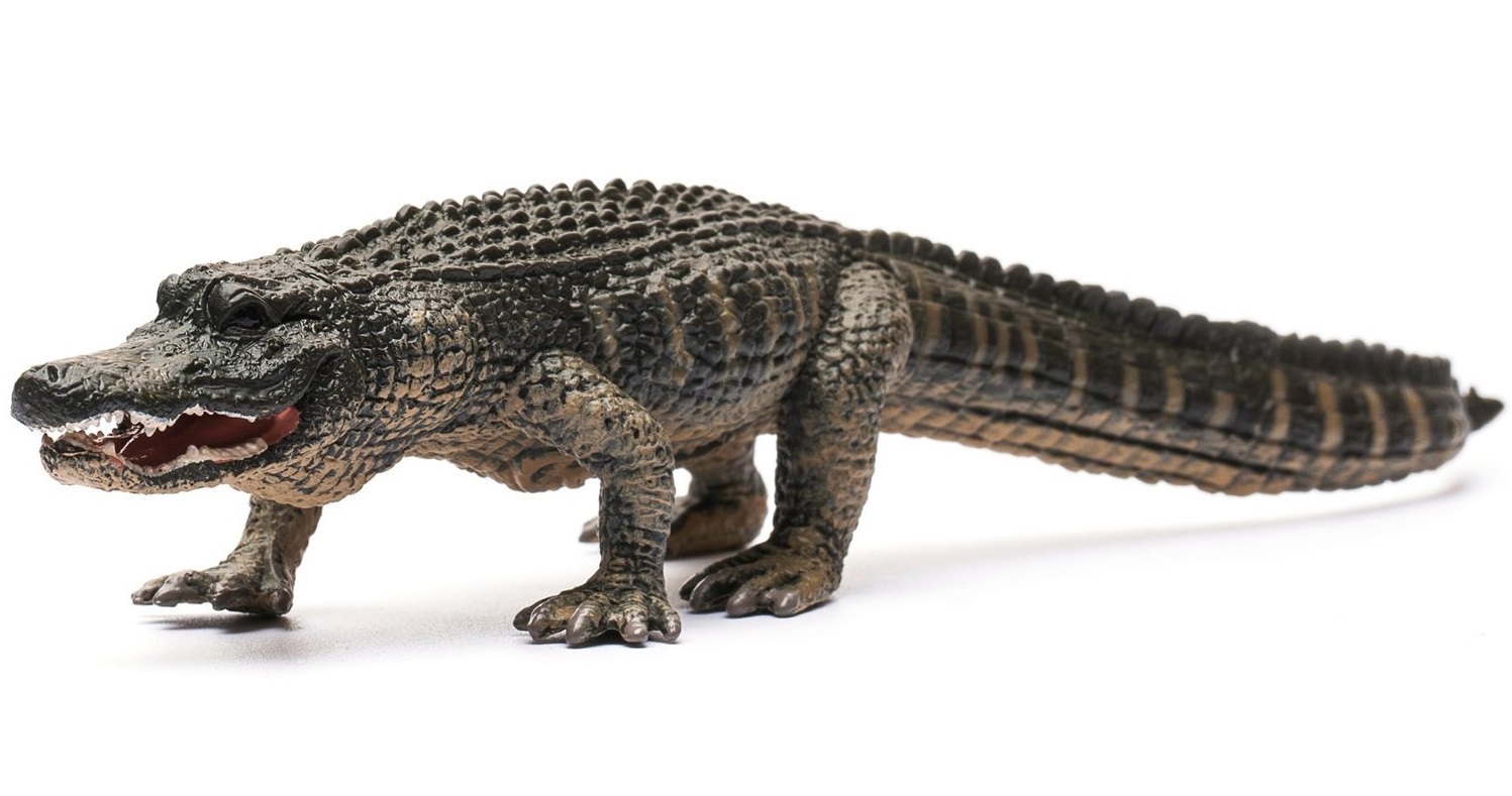 CollectA - American Alligator image