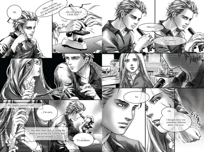 Twilight: The Graphic Novel, Vol 1 (UK Ed) by Stephenie Meyer image