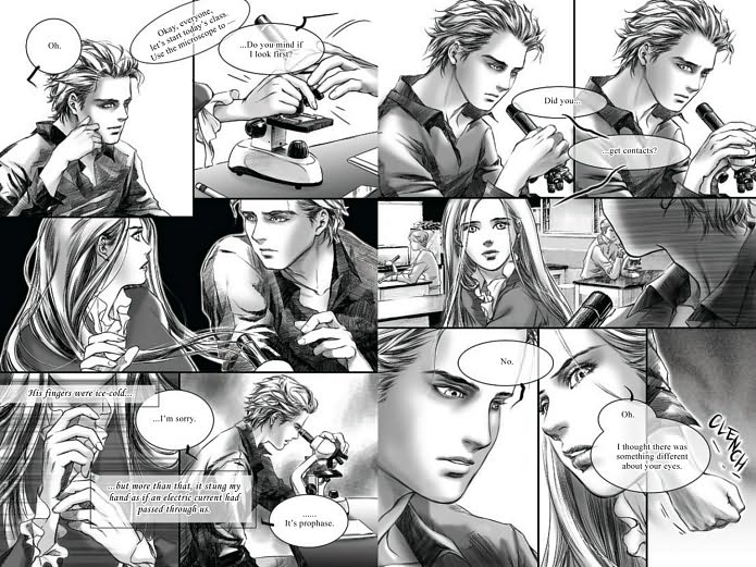 Twilight: The Graphic Novel, Vol 1 (UK Ed) image