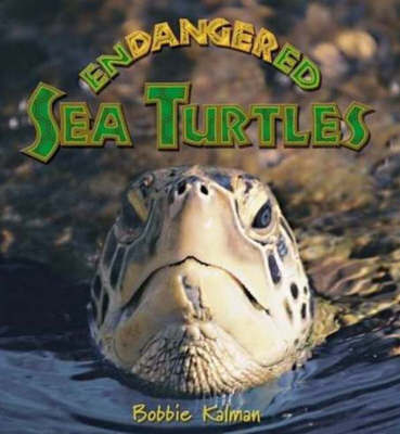 Endangered Sea Turtles by Bobbie Kalman image