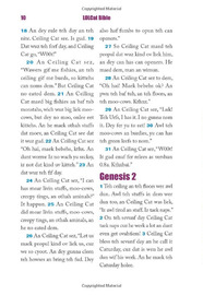 Lolcat Bible In Teh Beginnin Ceiling Cat Maded Teh Skiez An Da