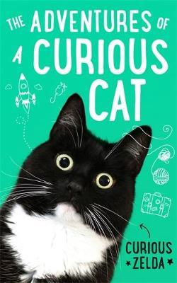 The Adventures of a Curious Cat by Curious Zelda image