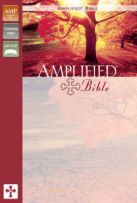 Amplified Bible by Zondervan image