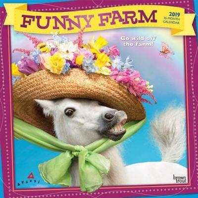 Avanti Funny Farm 2019 Square Foil by Inc Browntrout Publishers image
