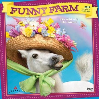 Avanti Funny Farm 2019 Square Foil by Inc Browntrout Publishers