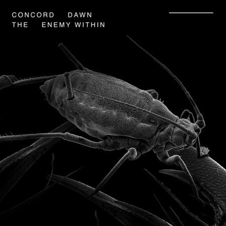 The Enemy Within on CD by Concord Dawn