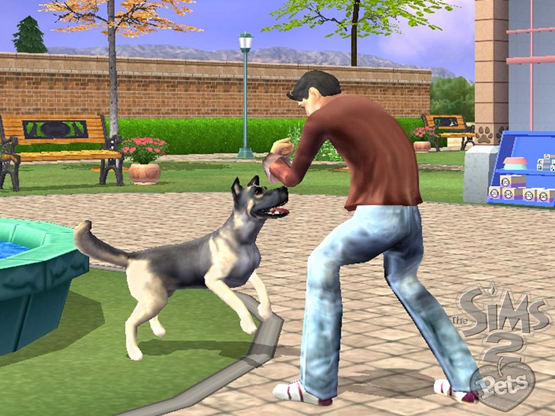 The Sims 2: Pets for Nintendo Wii image