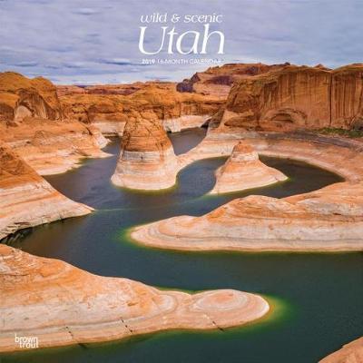 Utah Wild & Scenic 2019 Square by Inc Browntrout Publishers