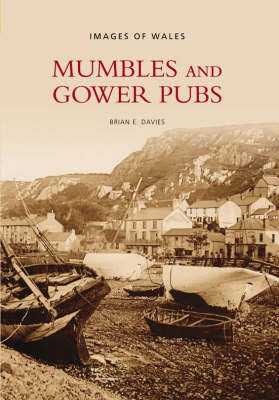Mumbles and Gower Pubs by Brian Davies image
