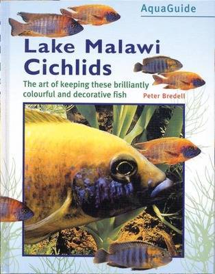 Malawi Cichlids image