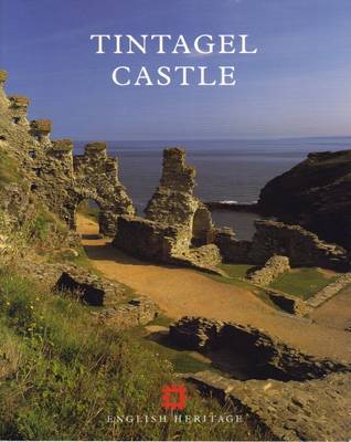 Tintagel Castle by Brian K. Davison image