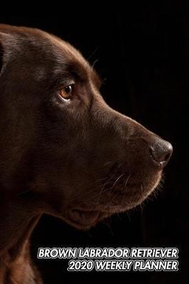 Brown Labrador Retriever 2020 Weekly Planner by Notebooks Journals Xlpress image