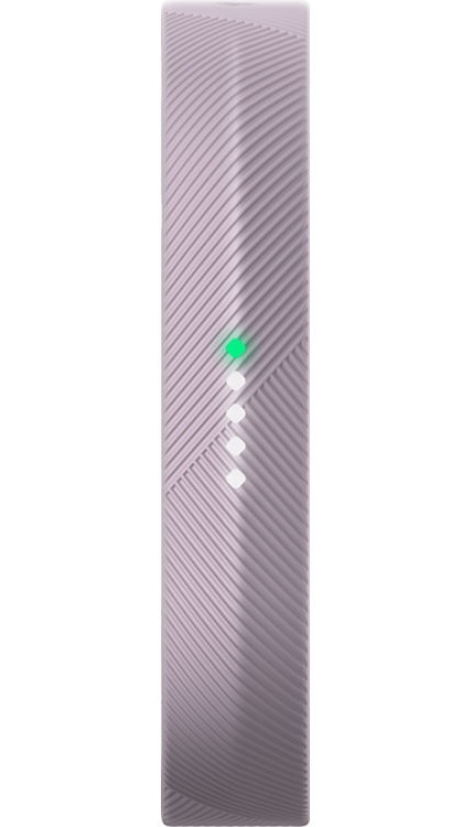 Fitbit Flex 2 Fitness Wristband (Lavender) image