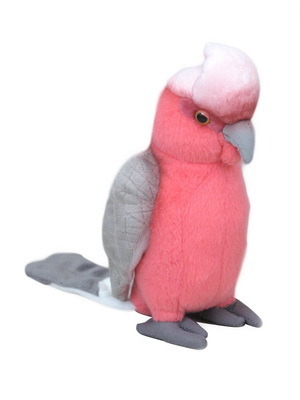 Galah w/Sound