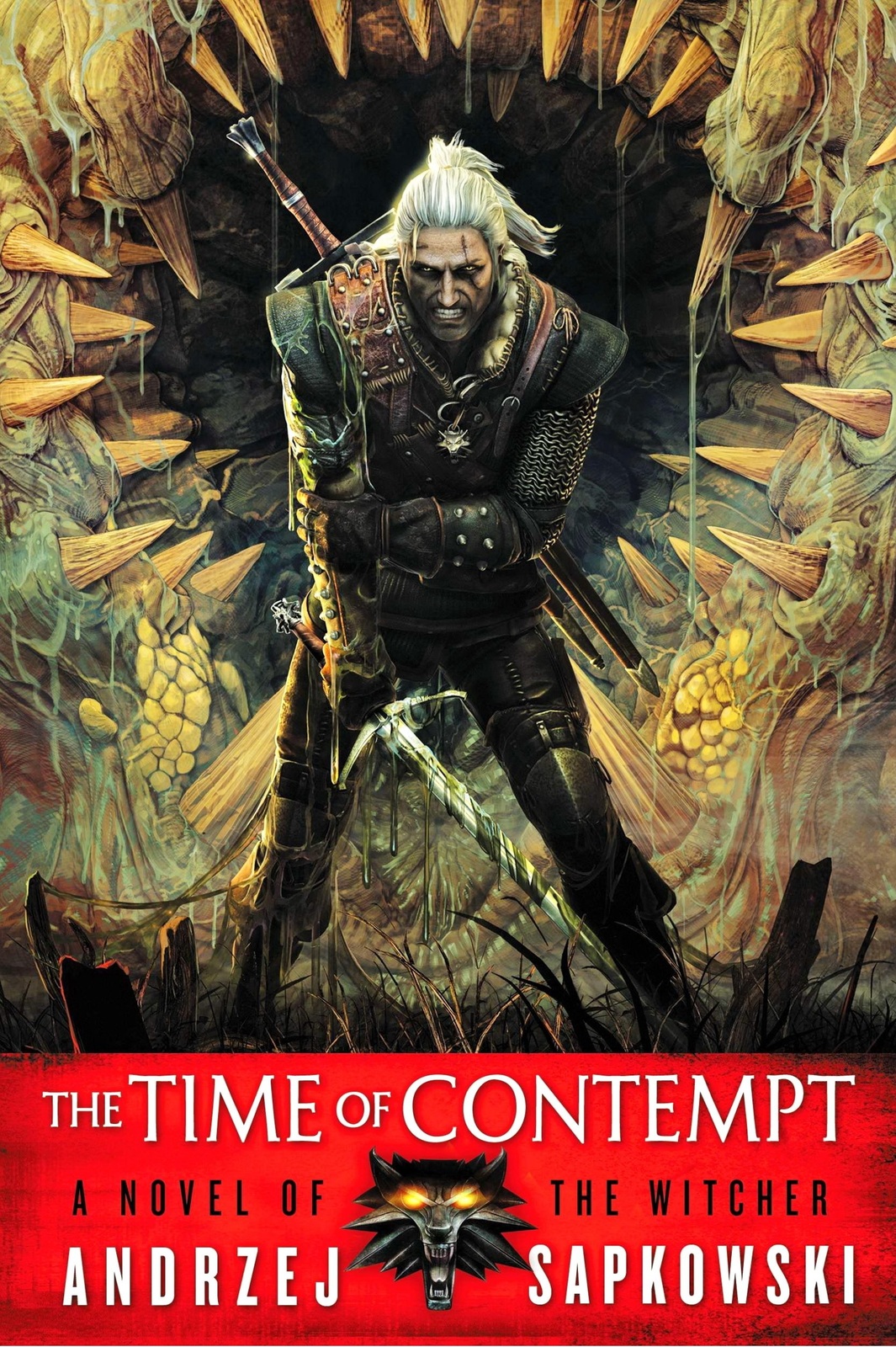 The Time of Contempt (The Witcher #3) (US Ed.) by Andrzej Sapkowski image