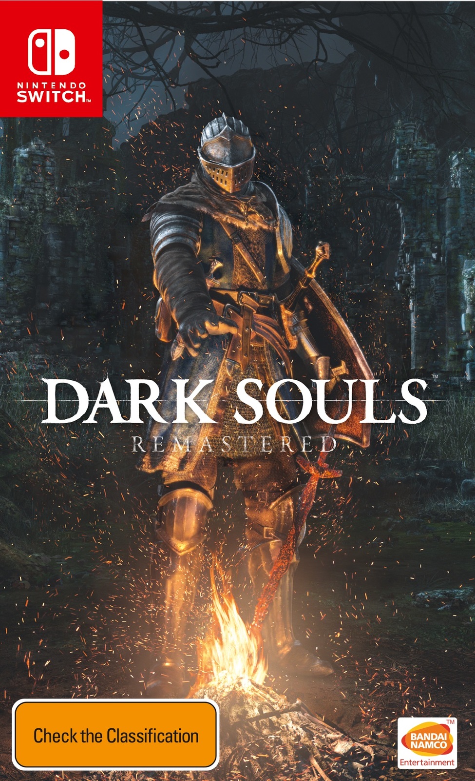 Dark Souls Remastered for Nintendo Switch image