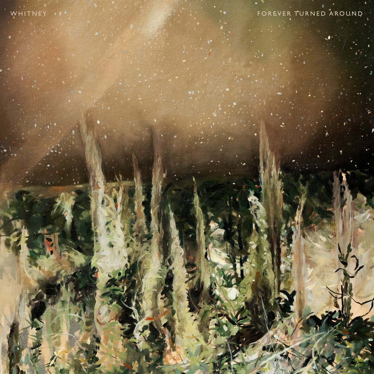 Forever Turned Around by Whitney image