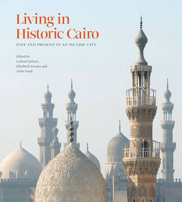 Living in Historic Cairo image