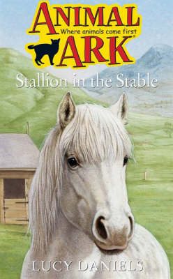 Stallion in the Stable by Lucy Daniels image