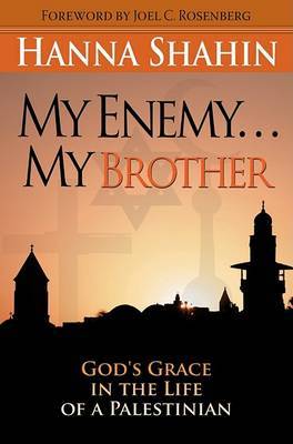 My Enemy... My Brother by Hanna Shahin image