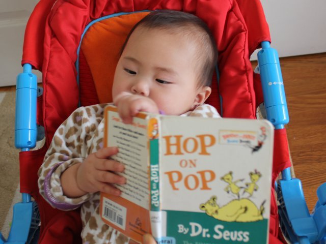 The Little Blue Box of Bright and Early Board Books by Dr. Seuss (4 Books) by Dr Seuss image