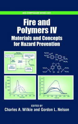 Fire and Polymers image