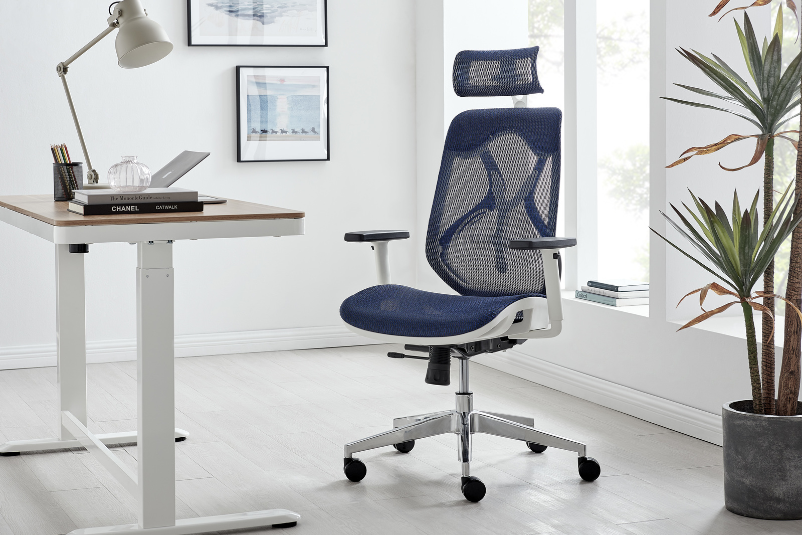 Buy Ergolux London Office Chair (White Frame, Blue) at Mighty Ape NZ