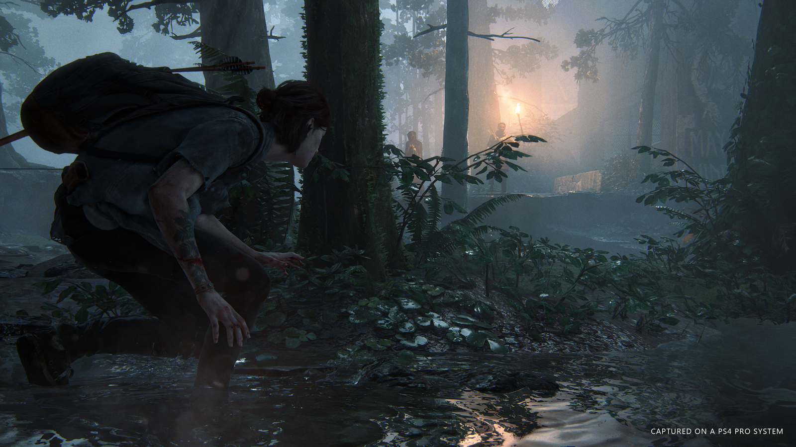 The Last of Us II for PS4 image