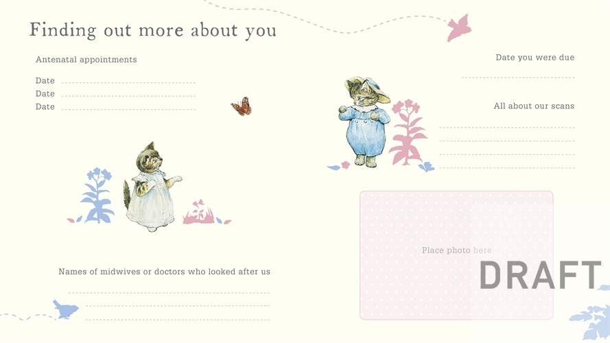 peter rabbit record book