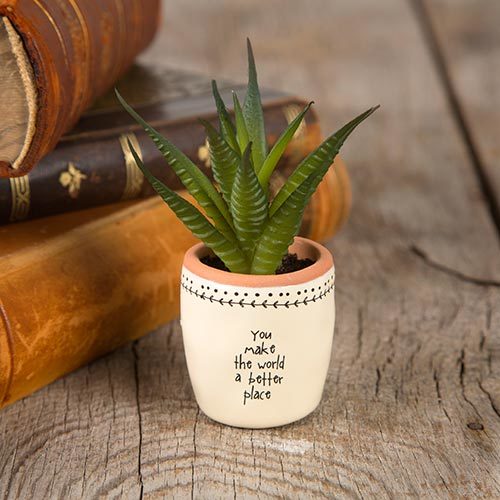 Natural Life: Succulent - You Make World image
