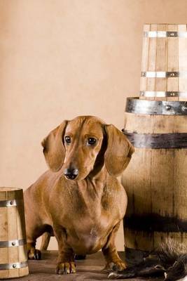 Dachsund Guarding the Beer, for the Love of Dogs on Paperback by Unique Journal